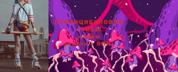 дмт Алексеевка