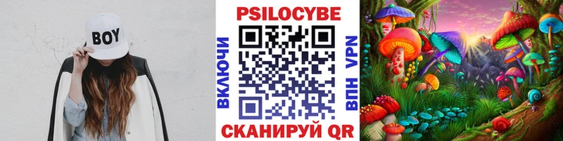 ОМГ ОМГ сайт  купить   Осинники  Галлюциногенные грибы мицелий 